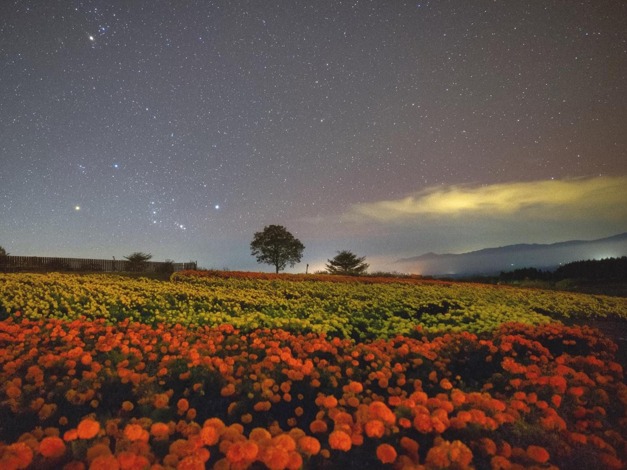 くじゅう花公園　キャンピングリゾート花と星 Kuju المظهر الخارجي الصورة