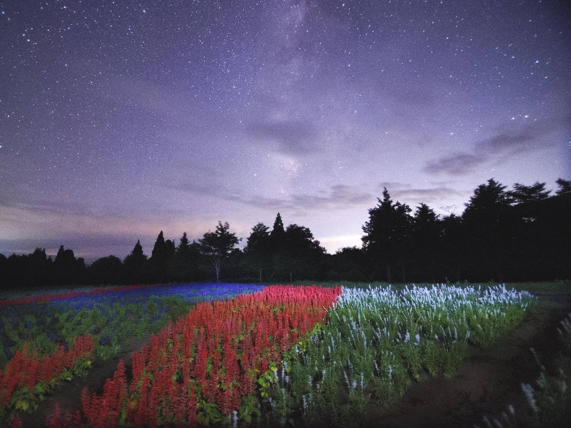 くじゅう花公園　キャンピングリゾート花と星 Kuju المظهر الخارجي الصورة