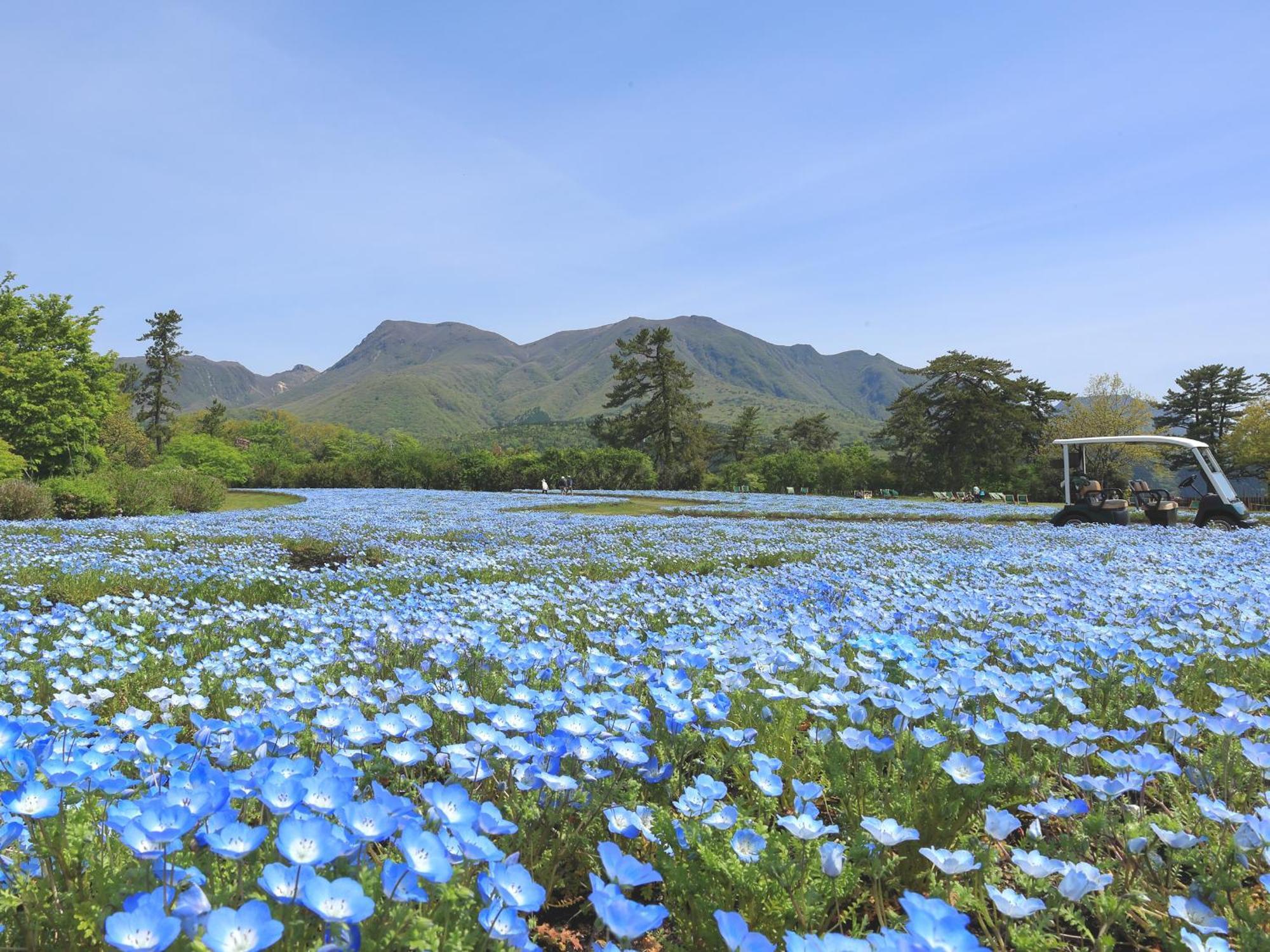 くじゅう花公園　キャンピングリゾート花と星 Kuju المظهر الخارجي الصورة