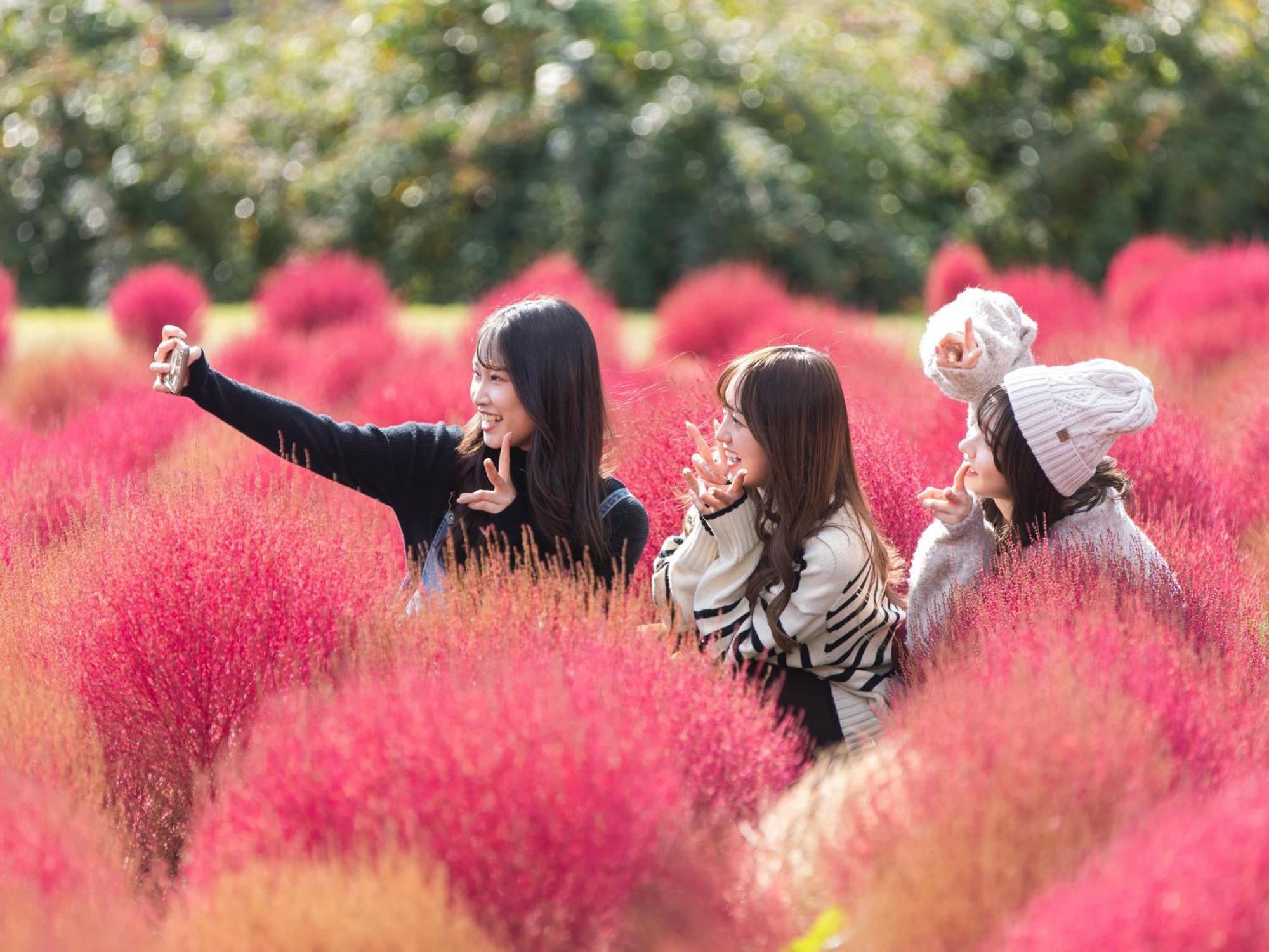 くじゅう花公園　キャンピングリゾート花と星 Kuju المظهر الخارجي الصورة