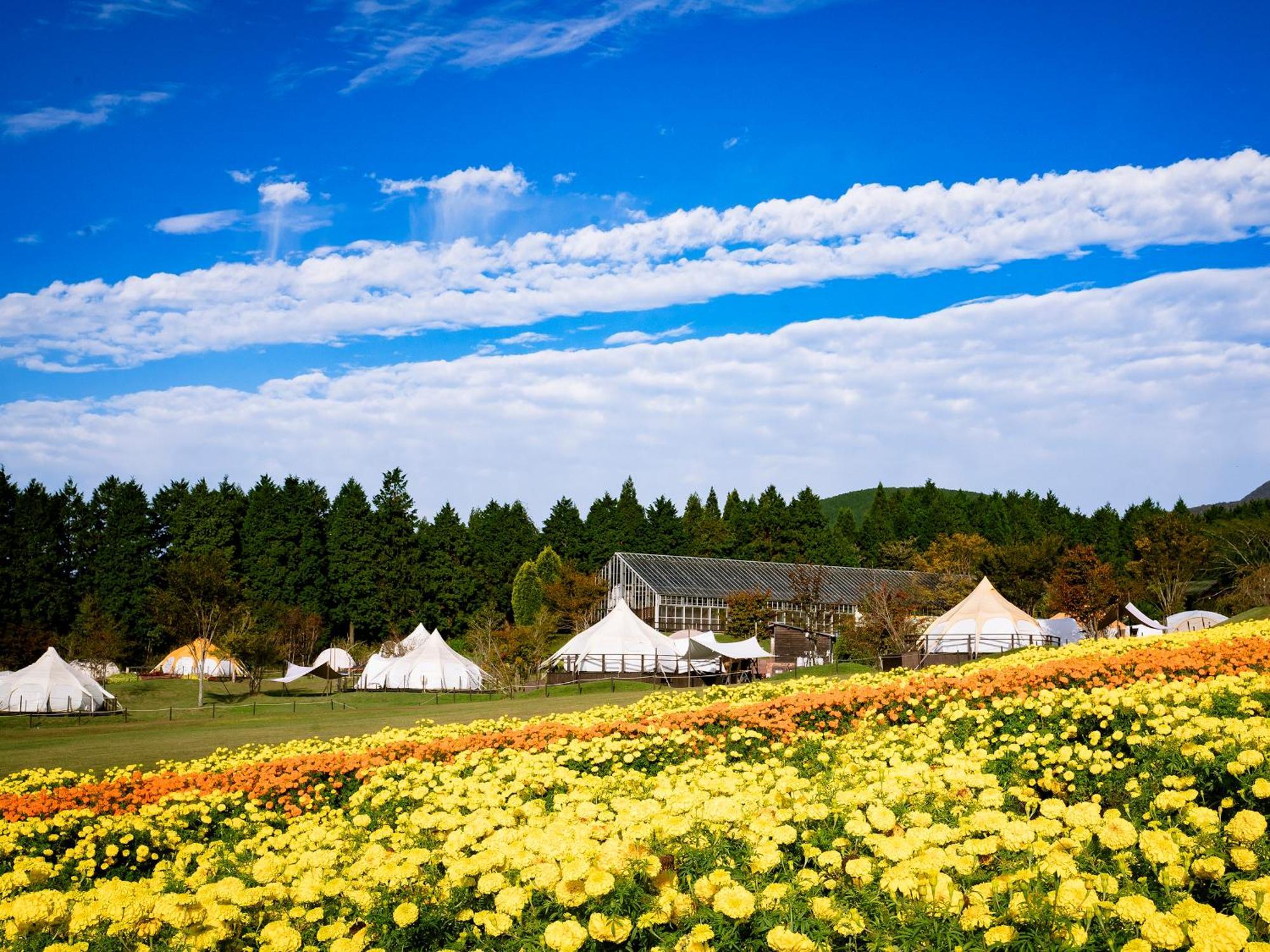 くじゅう花公園　キャンピングリゾート花と星 Kuju المظهر الخارجي الصورة